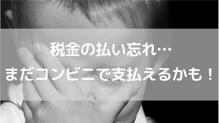 税金 自動車税 固定資産税の払い忘れ 期限切れコンビニ払込用紙の支払い方法 間に合うかも Ryslily S Blog りすりり