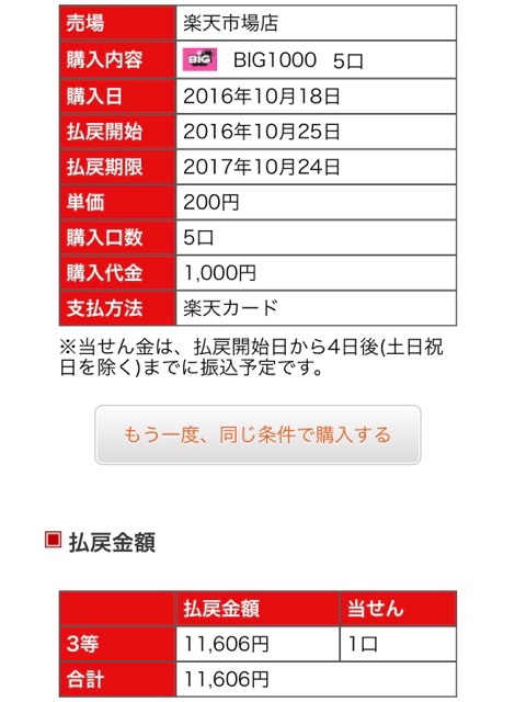 スポーツクジbig ビッグ は当たるのか 4年買い続けた結果 Totobig1000 Ryslily S Blog りすりり